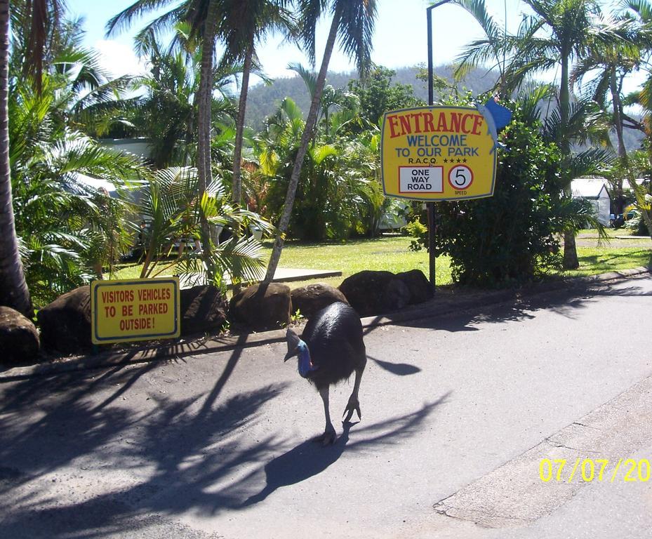 Hotel Flying Fish Point Tourist Park à Innisfail Extérieur photo