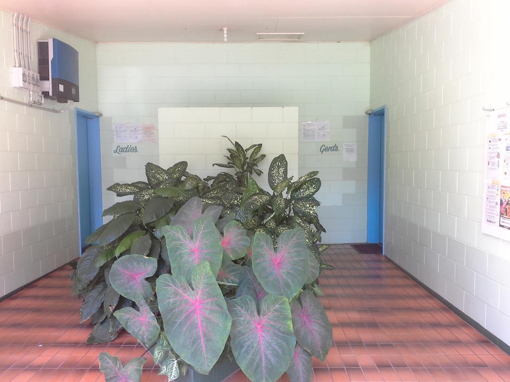Hotel Flying Fish Point Tourist Park à Innisfail Extérieur photo